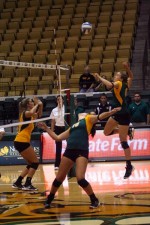 Green and Gold Game opens volleyball season