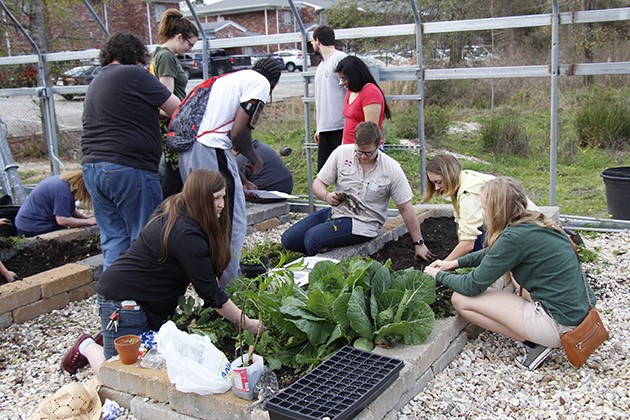 Community Garden Social reconnects with student organizations
