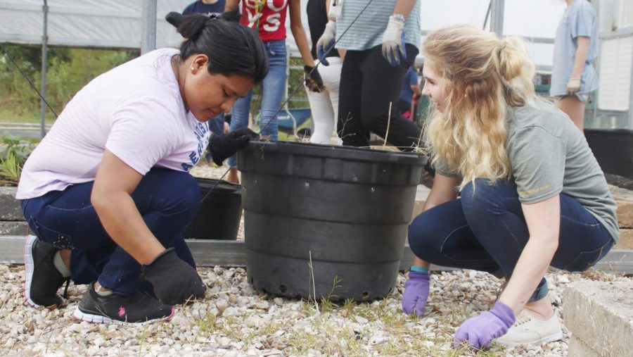 Student participate in the “Community Gardening Day” to clean up the garden with Reconnect, a sociology student organization. 