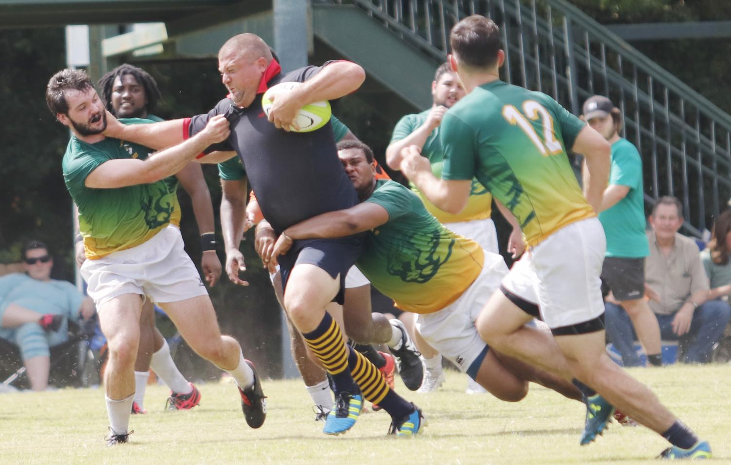Southeastern Rugby Club makes a comeback - The Lion's Roar