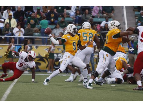 Lions fall to Cardinals 27-21 in Homecoming Game
