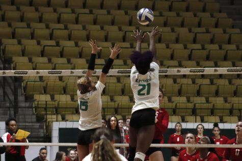 Lady Lions volleyball advances to Southland Tournament