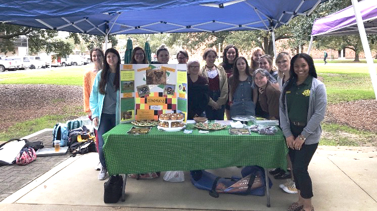Lions 4 Lions began as a student organization in Spring 2020. The club is dedicated to raising awareness and money for endangered species in the wild.