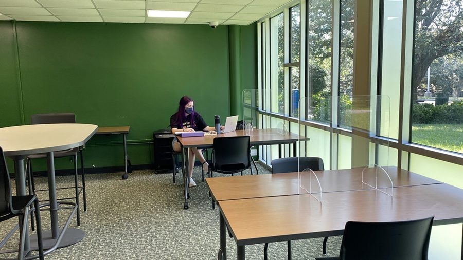 Karah Guidry, a junior biological sciences major, studies in the new Tinsley Hall study lounge. 
