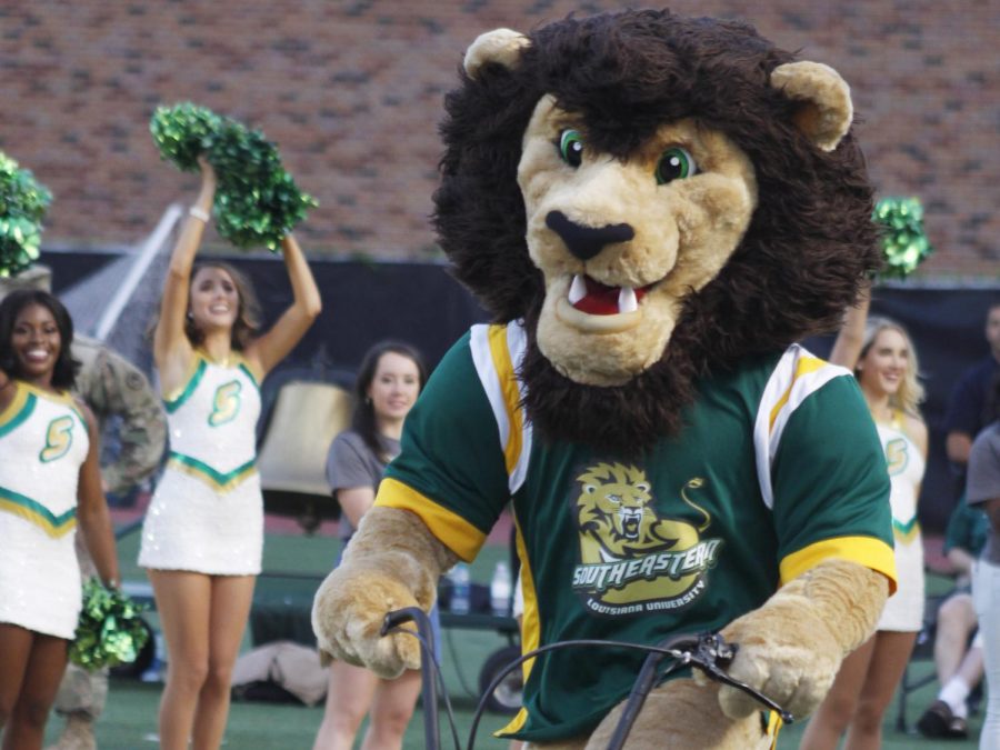 Roomie’s original name was Lobo, which was voted on by the students attending SLU in 1963. However, since the mascot is a lion, the school decided to have it changed. 
