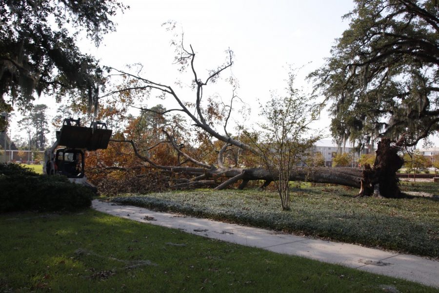 Storm aftermath: Photo Gallery