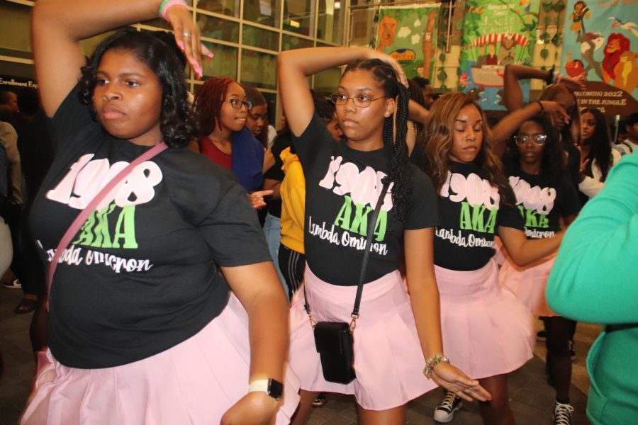 Members of Alpha Kappa Alpha stroll during the Black Family Reunion, an event hosted by the NPHC during Homecoming week.