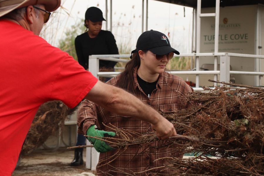 Dr. Rob Moreau (left) helps Madison Brady (right) grab a Christmas tree to load on the pontoon. They grabbed recycled trees from a large pile and put them on the boat.