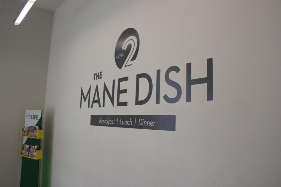 The Mane Dish has many options available for many different diets, but concerns from students are still prevalent.