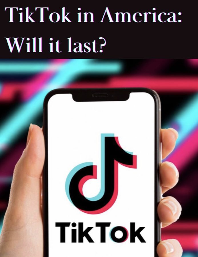 Scrutiny towards TikTok continues with potential Livingston Parish ban