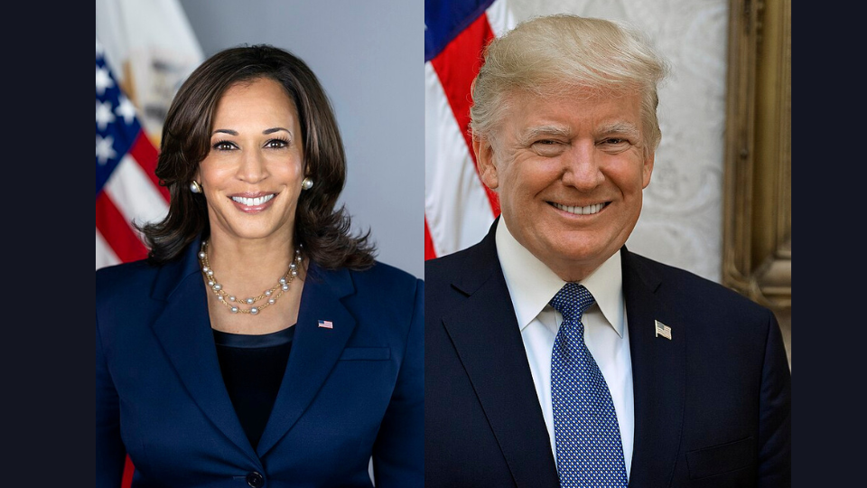 Vice president Kamala Harris and former president Donald Trump will compete for the presidency in the Tuesday, Nov. 5 general election.