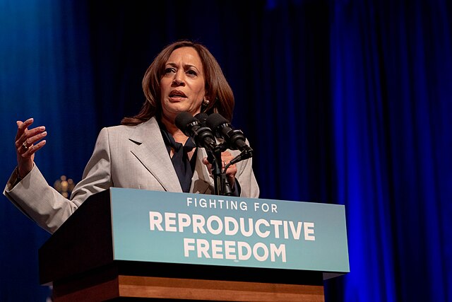 Vice President Kamala Harris speaks at a forum on abortion policy. (April 26, 2023)