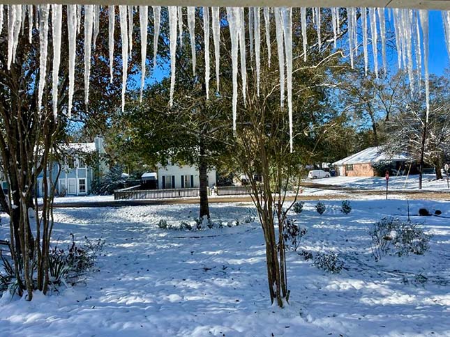 Lousianian houses received an icy makeover as the frigid temperatures rolled in.