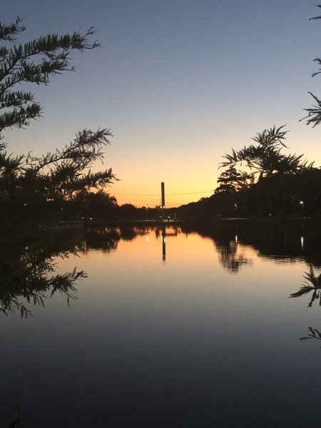 One of the many nature walks news editor Lindsay Miller took to clear her head during the early months of COVID. 