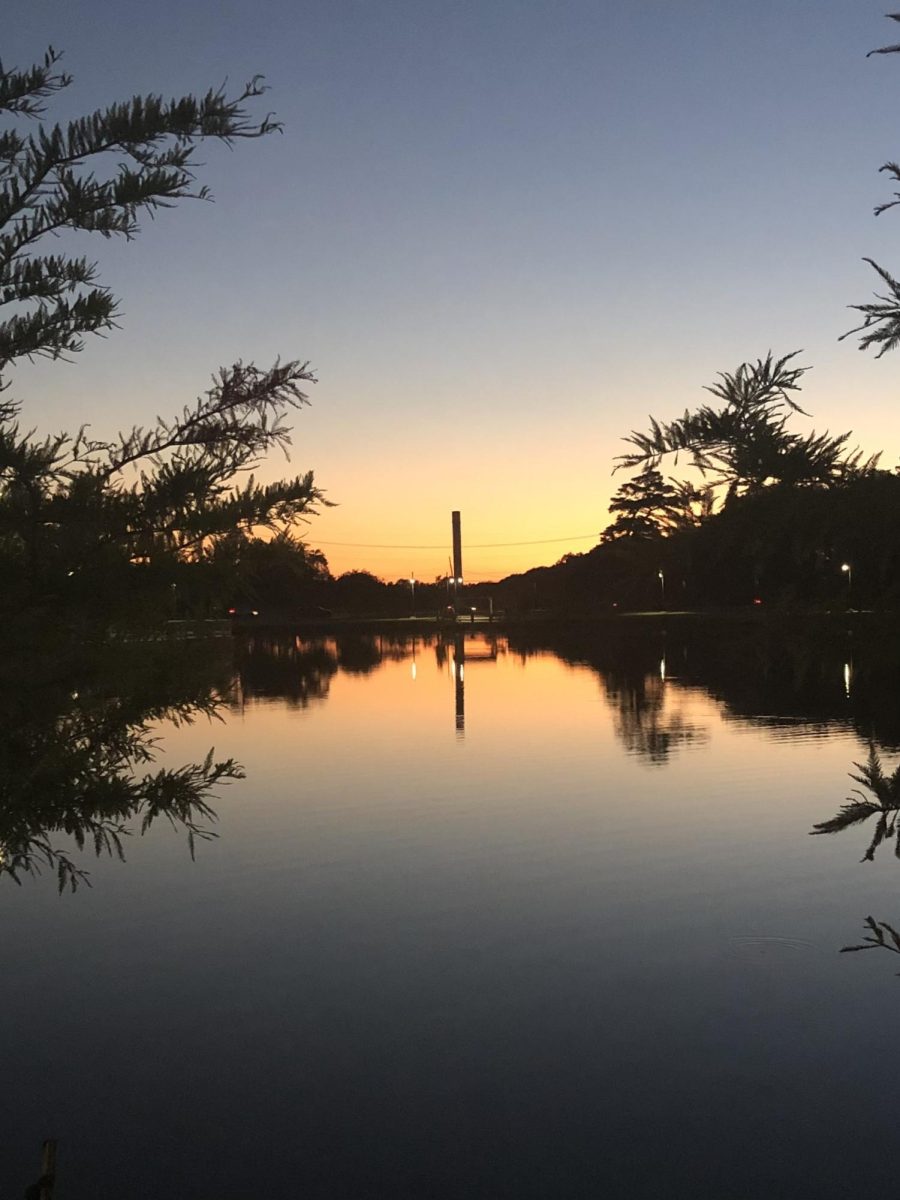 One of the many nature walks news editor Lindsay Miller took to clear her head during the early months of COVID. 