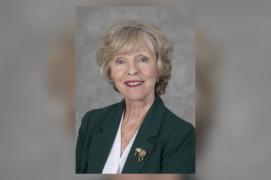 A woman with a green suit and white shirt poses with a gray background